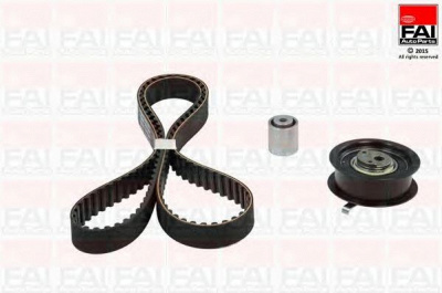 FAI AUTOPARTS tbk333 -  Комплект ремня ГРМ